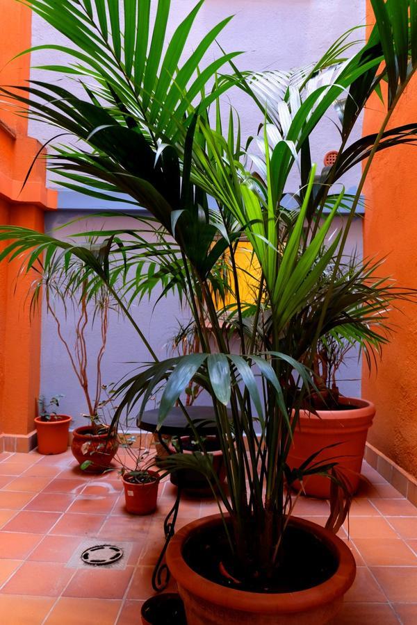 Hotel Carmen Roses Bagian luar foto